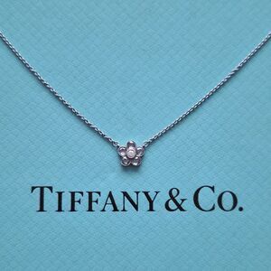 RARE Tiffany & Co. Enchant Mini Diamond Flower Garden Platinum Pendant Necklace